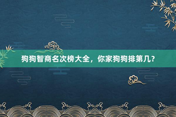 狗狗智商名次榜大全，你家狗狗排第几？